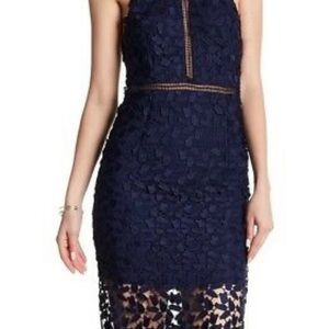 Bardot Gemma Lace Halter Dress